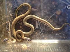 16939468_1676966219268058_5474648658743748611_n