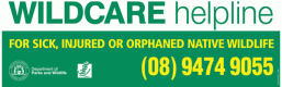 wildcare-helpline